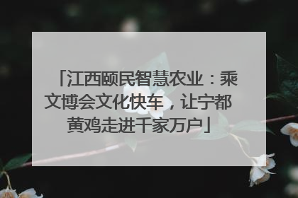 江西颐民智慧农业：乘文博会文化快车，让宁都黄鸡走进千家万户