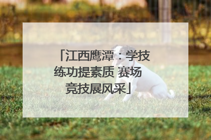 江西鹰潭：学技练功提素质 赛场竞技展风采