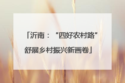 沂南：“四好农村路”舒展乡村振兴新画卷