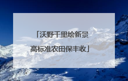 沃野千里绘新景 高标准农田保丰收