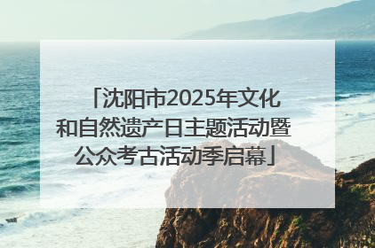 沈阳市2025年文化和自然遗产日主题活动暨公众考古活动季启幕