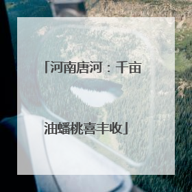 河南唐河：千亩油蟠桃喜丰收