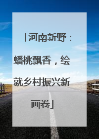 河南新野：蟠桃飘香，绘就乡村振兴新画卷