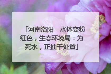河南洛阳一水体变粉红色，生态环境局：为死水，正抽干处置