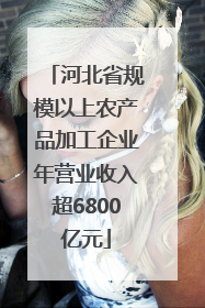 河北省规模以上农产品加工企业年营业收入超6800亿元