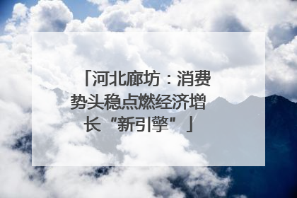 河北廊坊：消费势头稳点燃经济增长“新引擎”