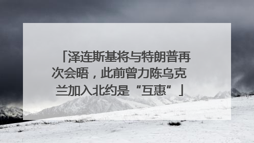 泽连斯基将与特朗普再次会晤，此前曾力陈乌克兰加入北约是“互惠”