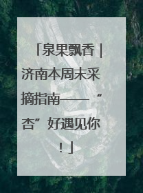 泉果飘香｜济南本周末采摘指南——“杏”好遇见你！