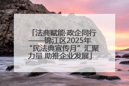 法典赋能·政企同行——锦江区2025年“民法典宣传月”汇聚力量 助推企业发展