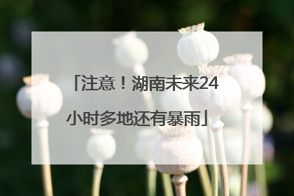 注意！湖南未来24小时多地还有暴雨