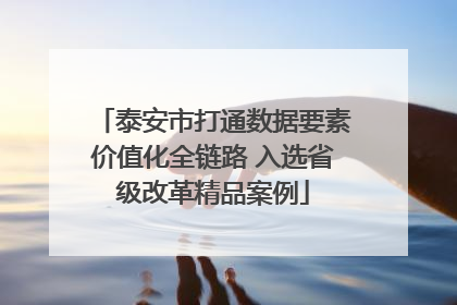 泰安市打通数据要素价值化全链路 入选省级改革精品案例