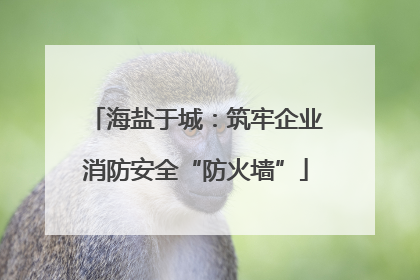 海盐于城：筑牢企业消防安全“防火墙”
