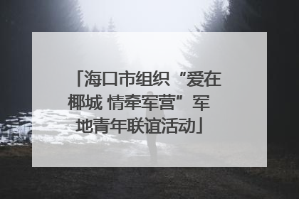 海口市组织“爱在椰城 情牵军营”军地青年联谊活动