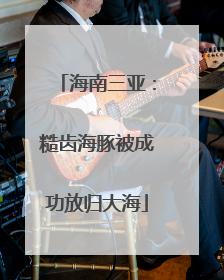 海南三亚：糙齿海豚被成功放归大海