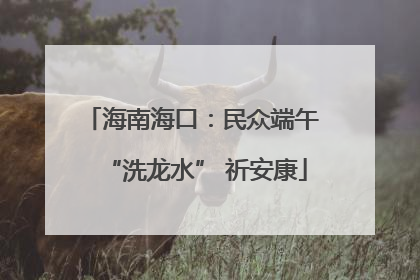 海南海口：民众端午 “洗龙水” 祈安康