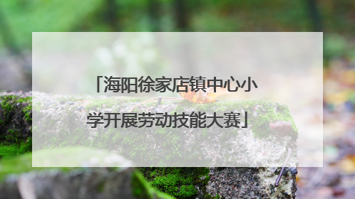 海阳徐家店镇中心小学开展劳动技能大赛