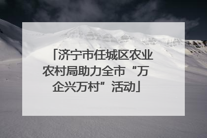 济宁市任城区农业农村局助力全市“万企兴万村”活动