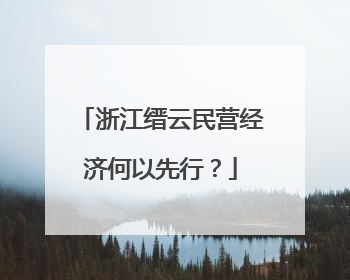 浙江缙云民营经济何以先行？