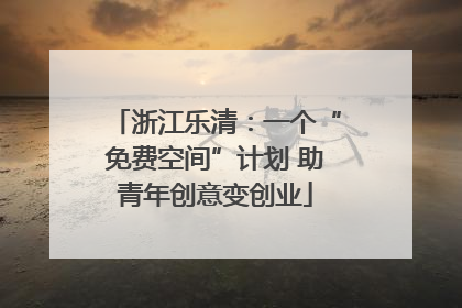 浙江乐清：一个“免费空间”计划 助青年创意变创业
