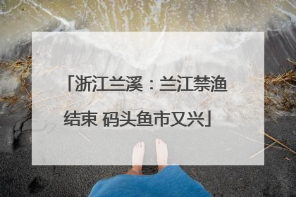 浙江兰溪：兰江禁渔结束 码头鱼市又兴