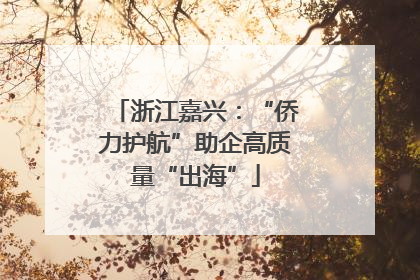 浙江嘉兴：“侨力护航”助企高质量“出海”