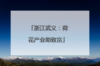 浙江武义：荷花产业助致富
