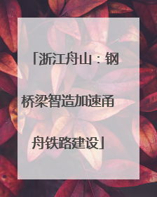 浙江舟山：钢桥梁智造加速甬舟铁路建设