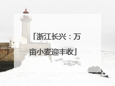 浙江长兴：万亩小麦迎丰收