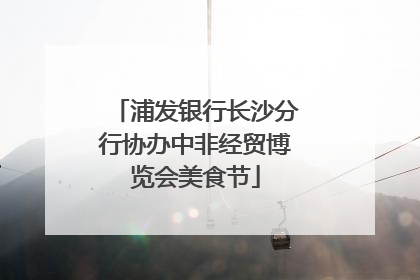 浦发银行长沙分行协办中非经贸博览会美食节