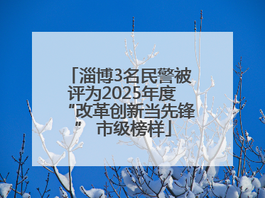 淄博3名民警被评为2025年度“改革创新当先锋” 市级榜样