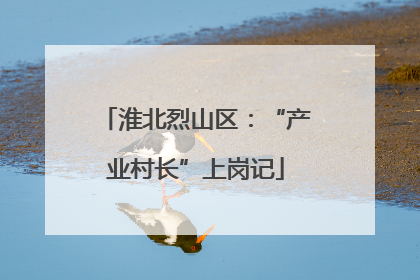 淮北烈山区：“产业村长”上岗记