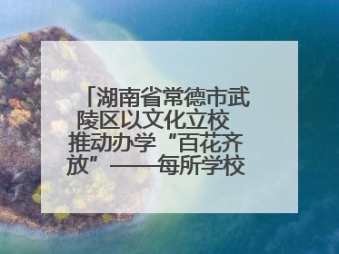 湖南省常德市武陵区以文化立校 推动办学“百花齐放”——每所学校都“精彩”