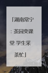 湖南常宁：茶园变课堂 学生采茶忙