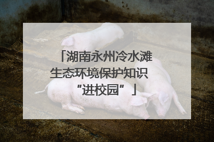湖南永州冷水滩生态环境保护知识“进校园”
