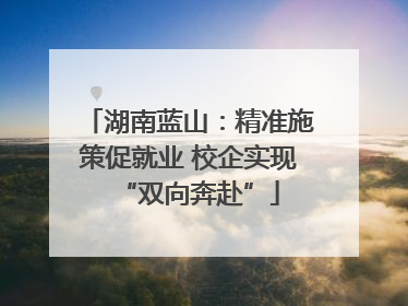 湖南蓝山：精准施策促就业 校企实现“双向奔赴”