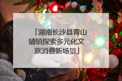 湖南长沙县青山铺镇探索多元化文旅消费新场景