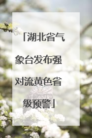 湖北省气象台发布强对流黄色省级预警