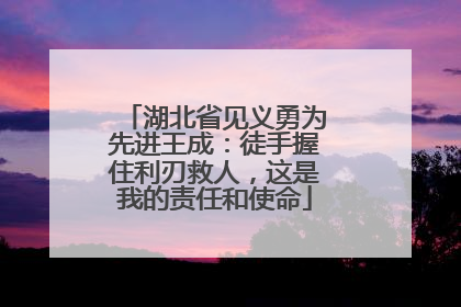 湖北省见义勇为先进王成：徒手握住利刃救人，这是我的责任和使命
