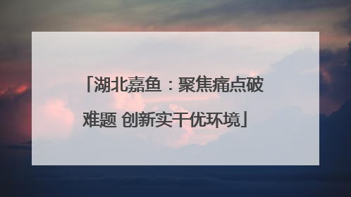 湖北嘉鱼：聚焦痛点破难题 创新实干优环境