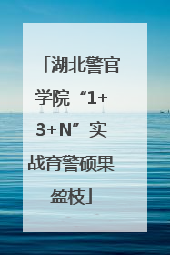 湖北警官学院“1+3+N”实战育警硕果盈枝