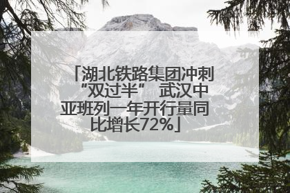 湖北铁路集团冲刺“双过半” 武汉中亚班列一年开行量同比增长72%
