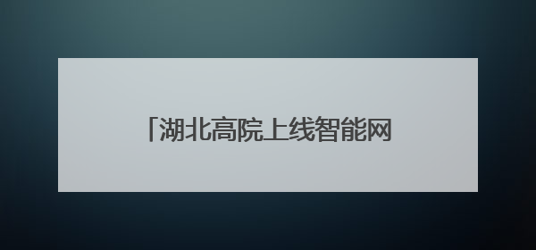 湖北高院上线智能网拍预警系统，打造司法拍卖“防火墙”