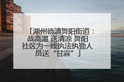 湖州德清舞阳街道：战高温 送清凉 舞阳社区为一线执法执勤人员送“甘霖”