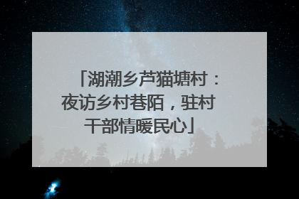 湖潮乡芦猫塘村：夜访乡村巷陌，驻村干部情暖民心