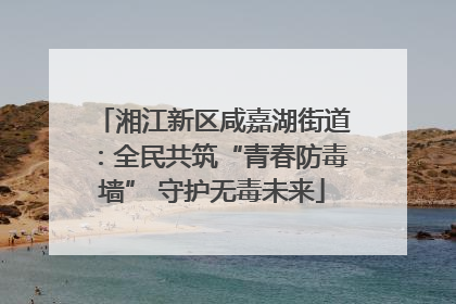 湘江新区咸嘉湖街道：全民共筑“青春防毒墙” 守护无毒未来