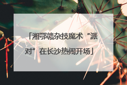 湘鄂赣杂技魔术“派对”在长沙热闹开场
