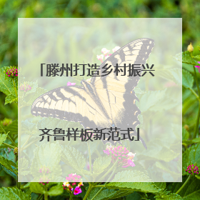 滕州打造乡村振兴齐鲁样板新范式