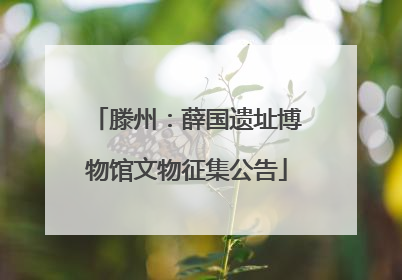 滕州：薛国遗址博物馆文物征集公告