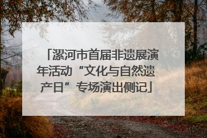 漯河市首届非遗展演年活动“文化与自然遗产日”专场演出侧记