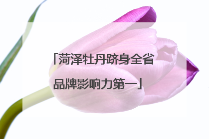 菏泽牡丹跻身全省品牌影响力第一